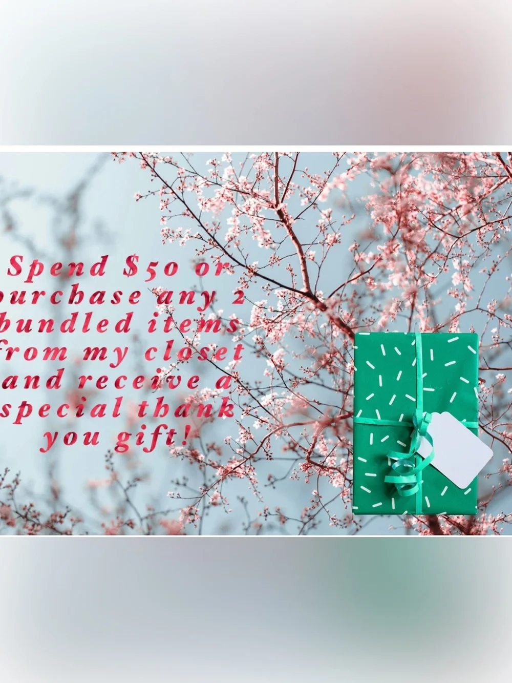 Sigma Beauty listing includes